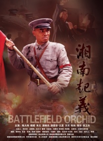 伊人久久精品视频